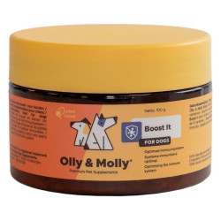 Olly & Molly Boost It - Immunerő+