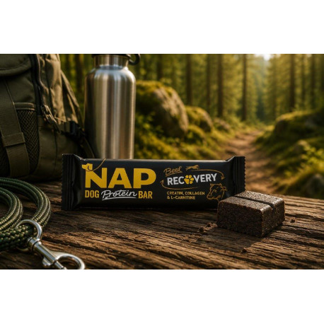 NAP Protein szelet - recovery 50g