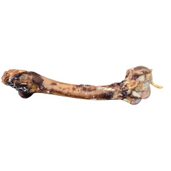 Teomann Szárított szarvas combcsont – ca. 35 cm
