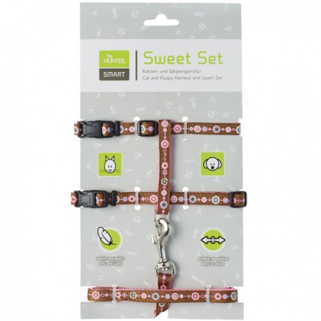 Pórázszett cicáknak és kölyökkutyáknak