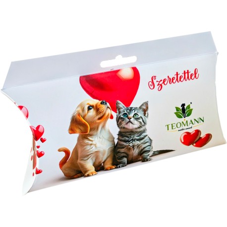 Teomann Karácsonyi Párnadoboz