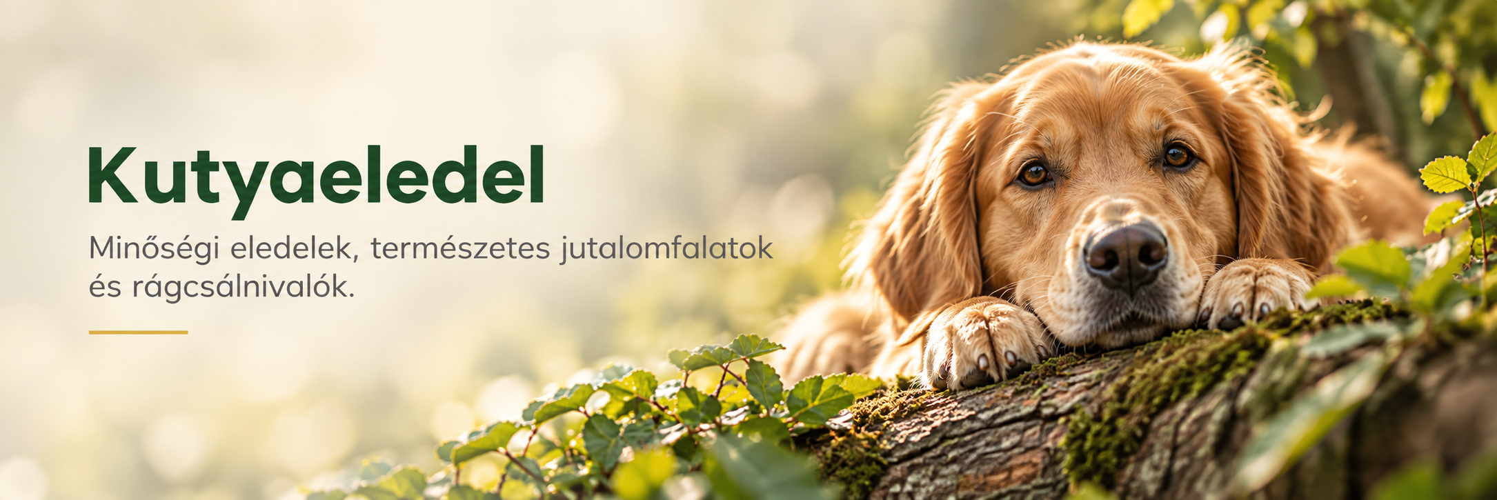 Kutyaeledel természetes környezetben.p